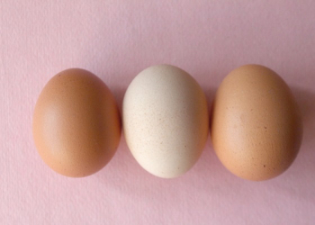 蛋清對皮膚有什麼好處？ 